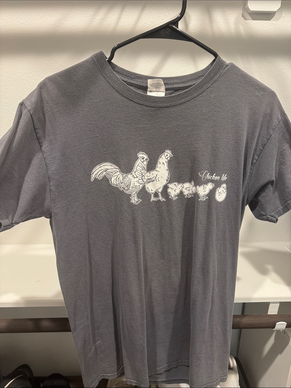 Fruit of the Loom Graphic Tee in Gray Size Medium